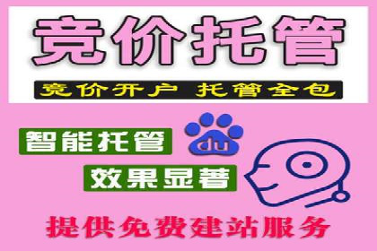 谷歌SEM与移动端优化：某APP的推广策略及效果